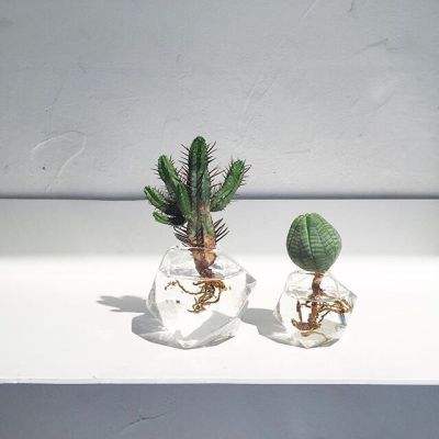 博业体育官网boye截图